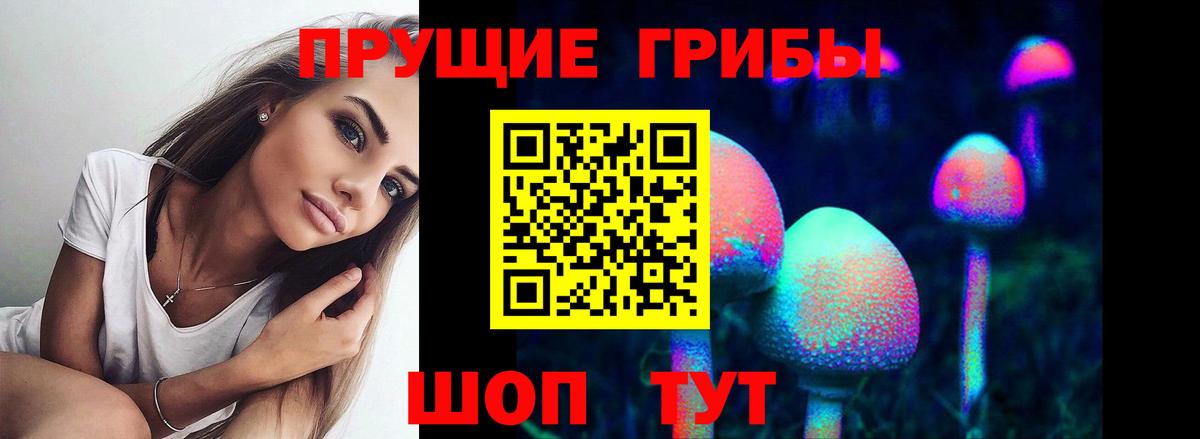 Галлюциногенные грибы Cubensis Сарапул